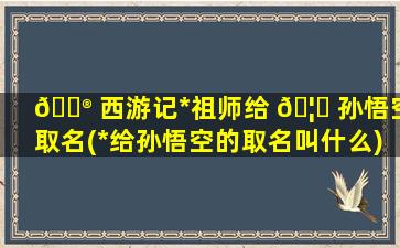 💮 西游记*
祖师给 🦁 孙悟空取名(*
给孙悟空的取名叫什么)